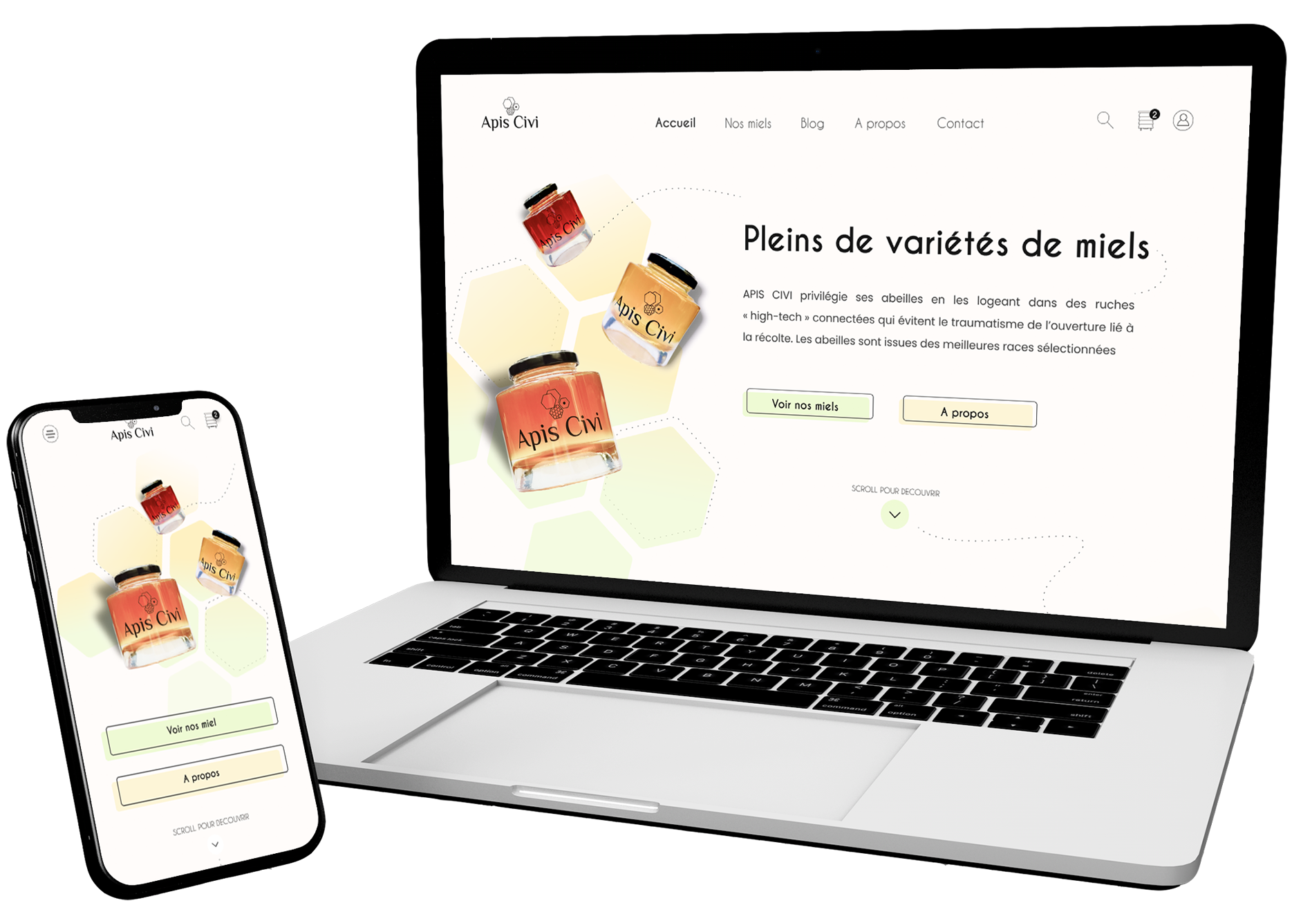 Apis civi.com